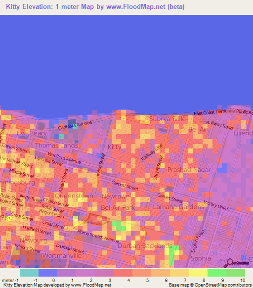 Kitty,Guyana Elevation Map