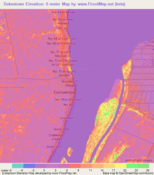 Dukestown,Guyana Elevation Map