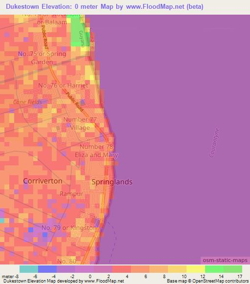 Dukestown,Guyana Elevation Map