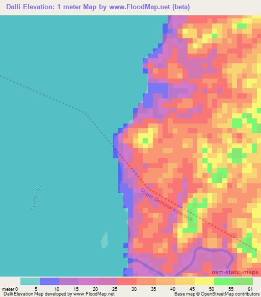 Dalli,Guyana Elevation Map