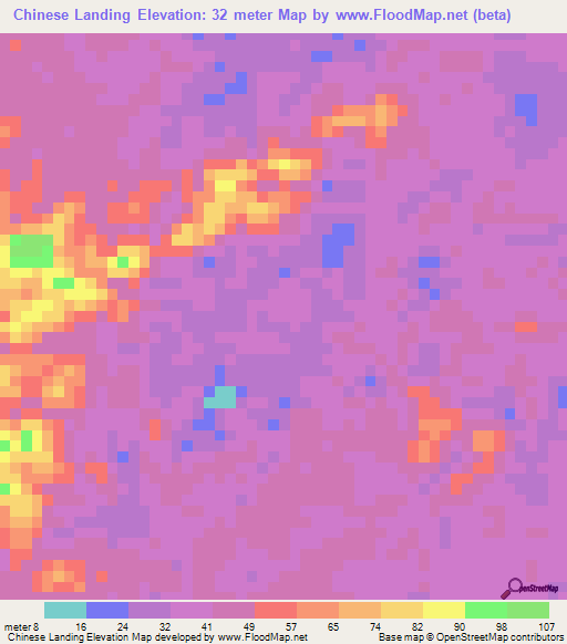 Chinese Landing,Guyana Elevation Map