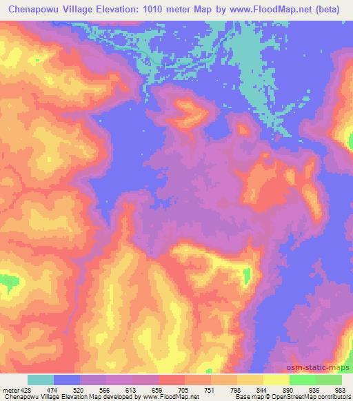 Chenapowu Village,Guyana Elevation Map