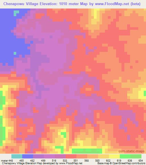 Chenapowu Village,Guyana Elevation Map