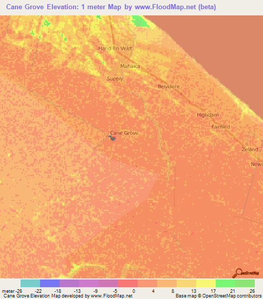 Cane Grove,Guyana Elevation Map