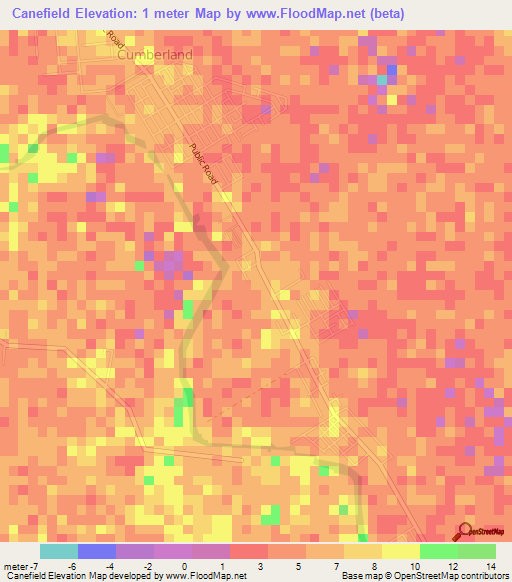 Canefield,Guyana Elevation Map