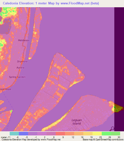 Caledonia,Guyana Elevation Map