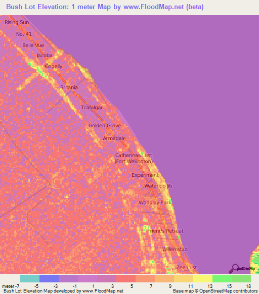 Bush Lot,Guyana Elevation Map