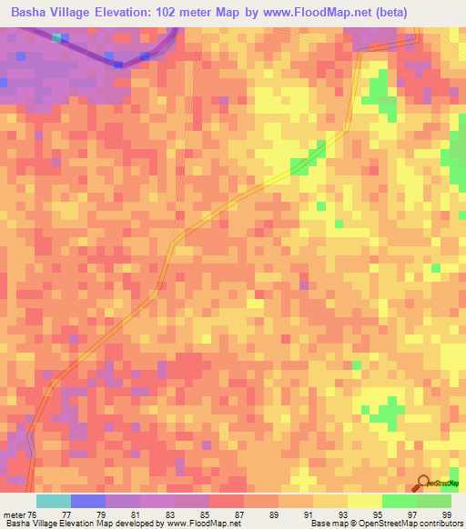 Basha Village,Guyana Elevation Map