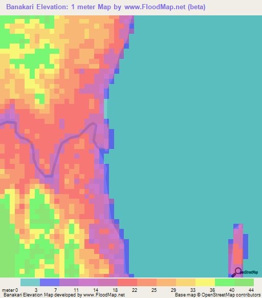 Banakari,Guyana Elevation Map