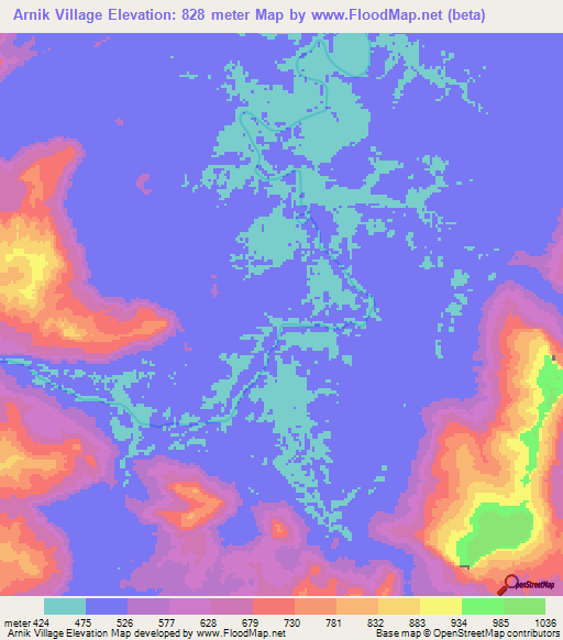 Arnik Village,Guyana Elevation Map