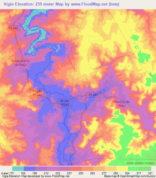 Vigia,Brazil Elevation Map