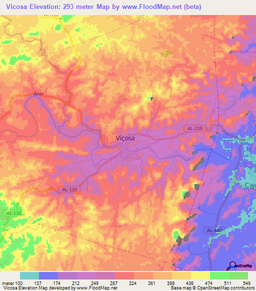 Vicosa,Brazil Elevation Map