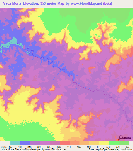 Vaca Morta,Brazil Elevation Map