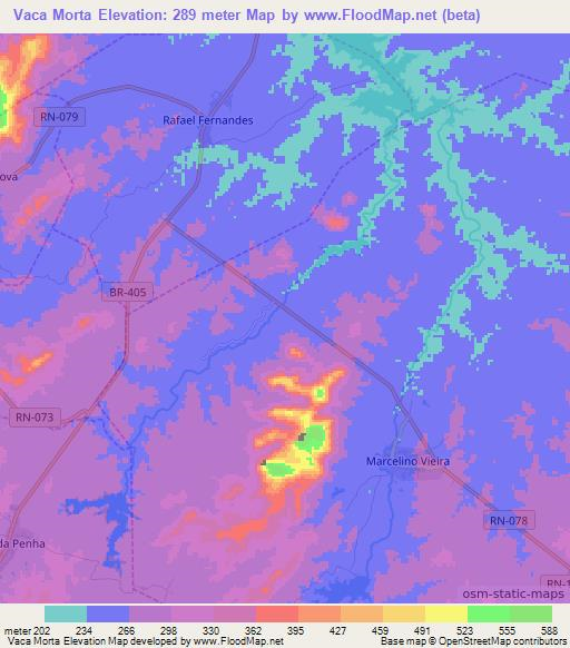 Vaca Morta,Brazil Elevation Map