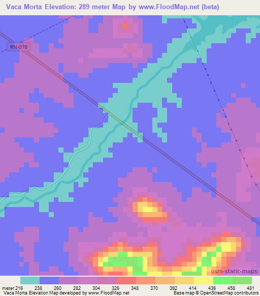 Vaca Morta,Brazil Elevation Map