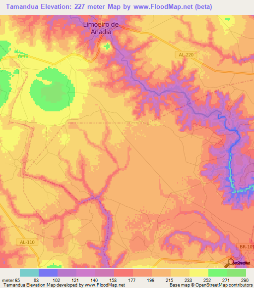 Tamandua,Brazil Elevation Map