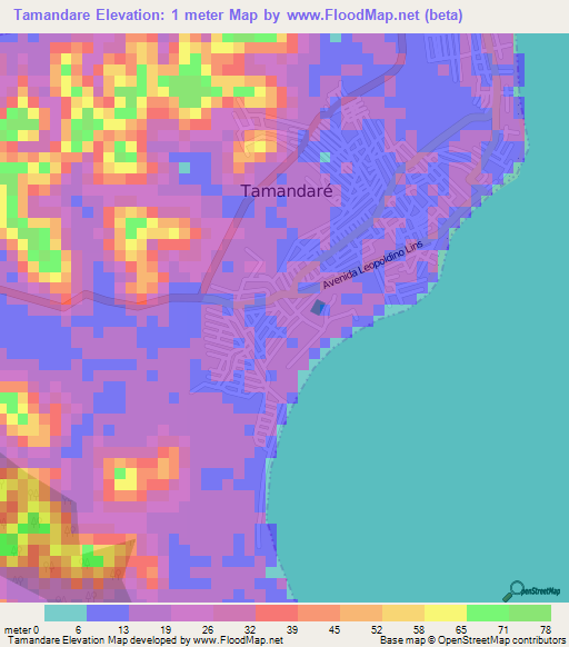 Tamandare,Brazil Elevation Map