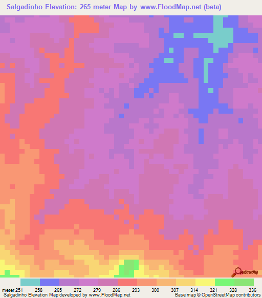 Salgadinho,Brazil Elevation Map