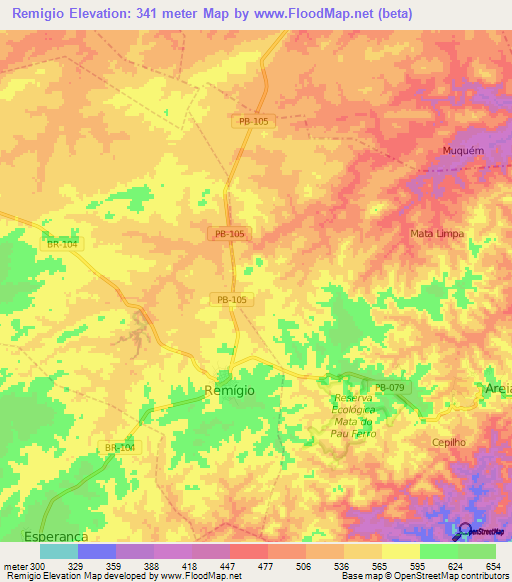 Remigio,Brazil Elevation Map