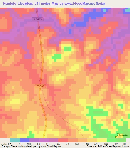 Remigio,Brazil Elevation Map