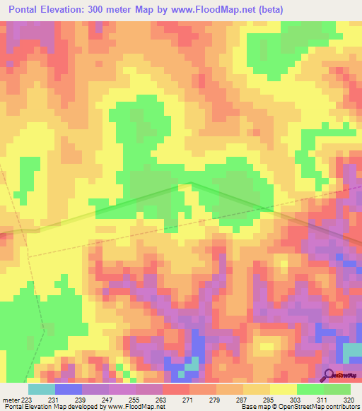 Pontal,Brazil Elevation Map