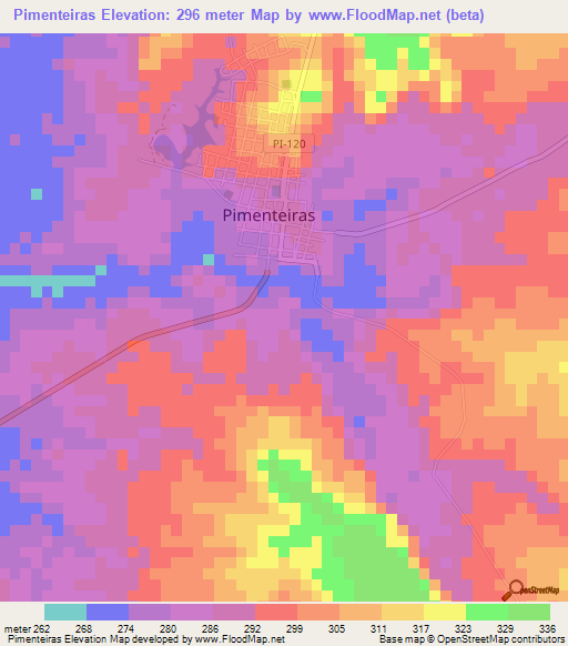 Pimenteiras,Brazil Elevation Map