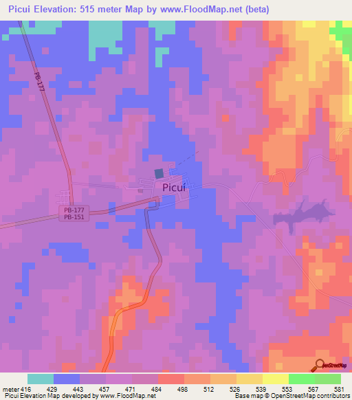 Picui,Brazil Elevation Map