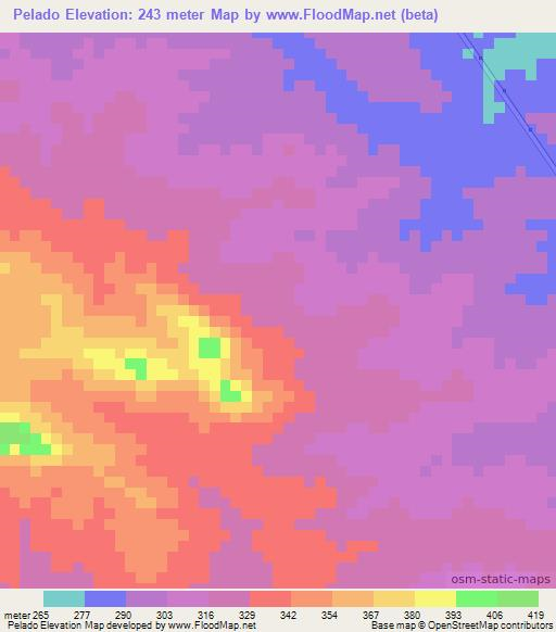 Pelado,Brazil Elevation Map