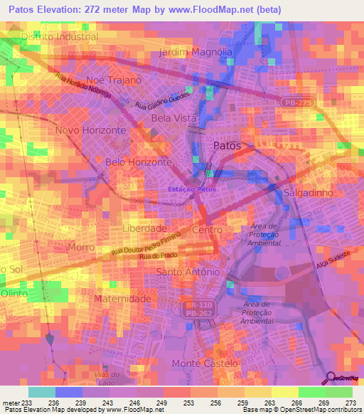 Patos,Brazil Elevation Map