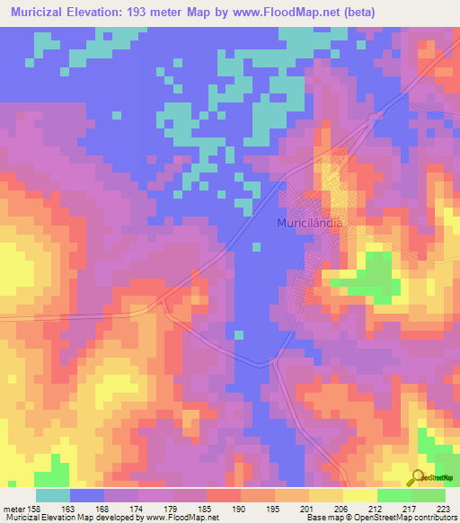 Muricizal,Brazil Elevation Map