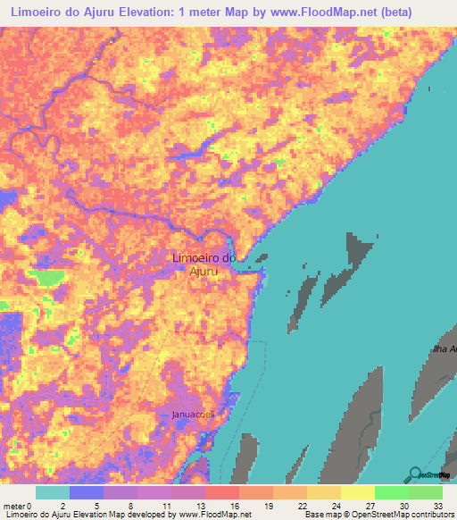 Limoeiro do Ajuru,Brazil Elevation Map