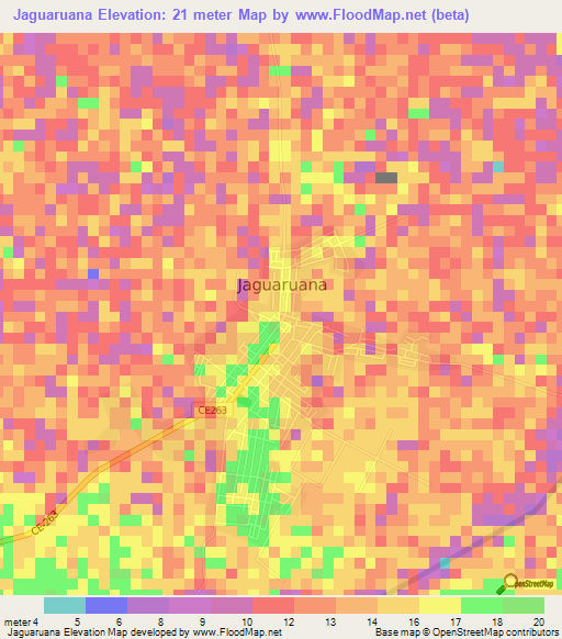 Jaguaruana,Brazil Elevation Map