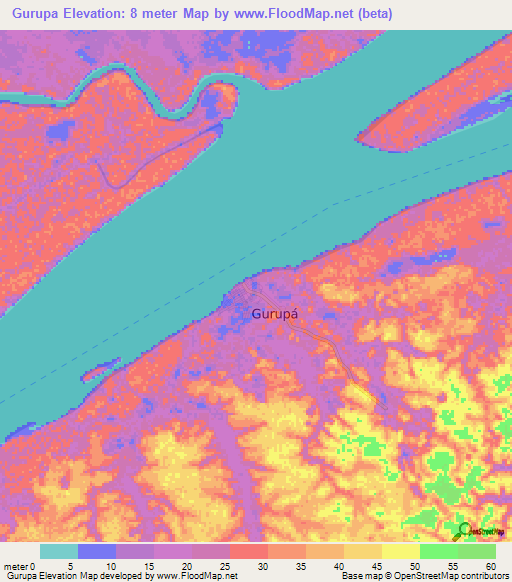 Gurupa,Brazil Elevation Map