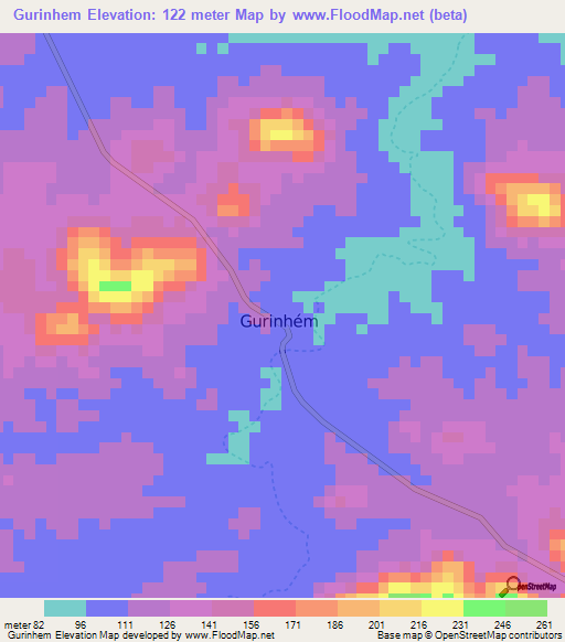 Gurinhem,Brazil Elevation Map