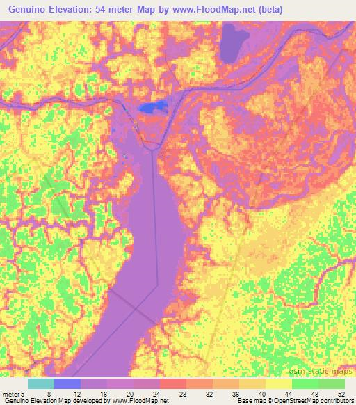 Genuino,Brazil Elevation Map