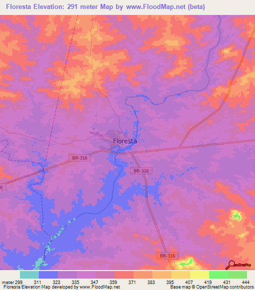 Floresta,Brazil Elevation Map