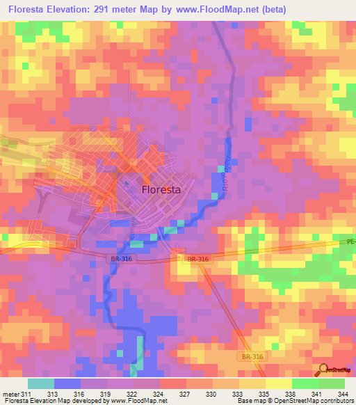 Floresta,Brazil Elevation Map