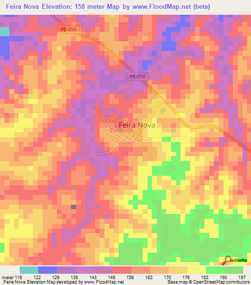 Feira Nova,Brazil Elevation Map