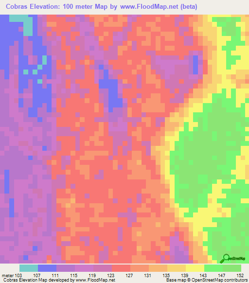 Cobras,Brazil Elevation Map