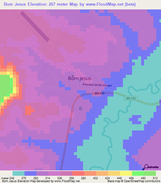 Bom Jesus,Brazil Elevation Map