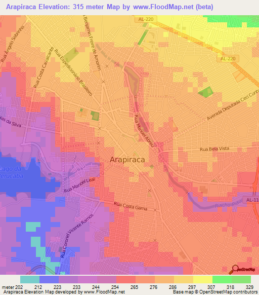 Arapiraca,Brazil Elevation Map