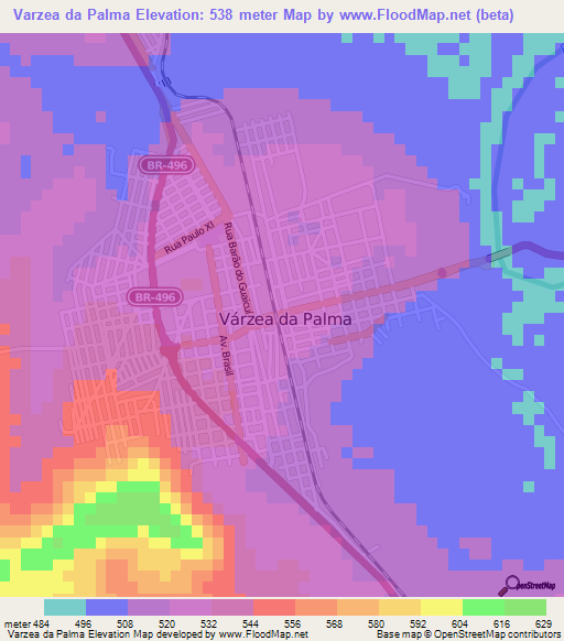 Varzea da Palma,Brazil Elevation Map