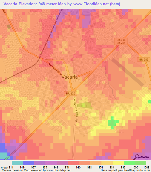 Vacaria,Brazil Elevation Map