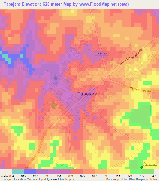 Tapejara,Brazil Elevation Map