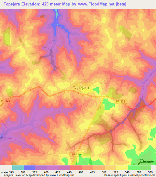 Tapejara,Brazil Elevation Map