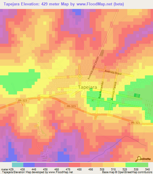 Tapejara,Brazil Elevation Map