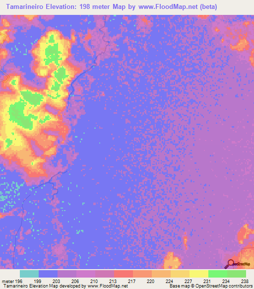 Tamarineiro,Brazil Elevation Map