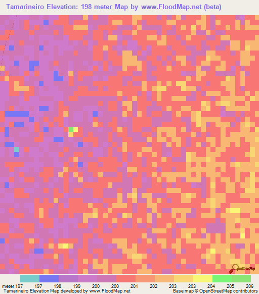 Tamarineiro,Brazil Elevation Map