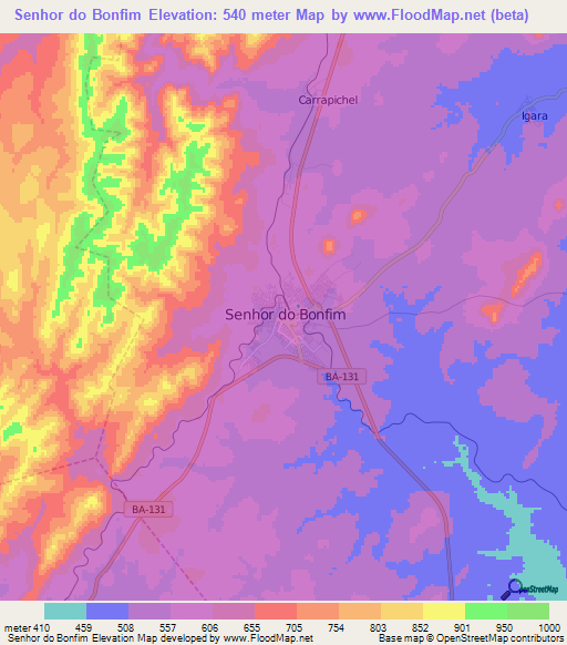 Senhor do Bonfim,Brazil Elevation Map