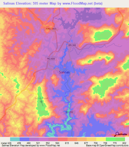 Salinas,Brazil Elevation Map